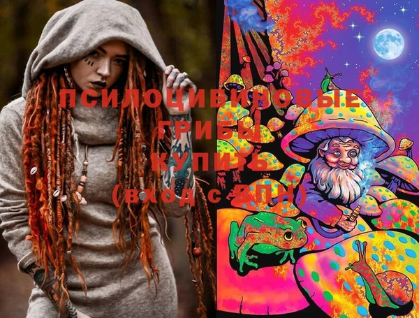 бошки Шали