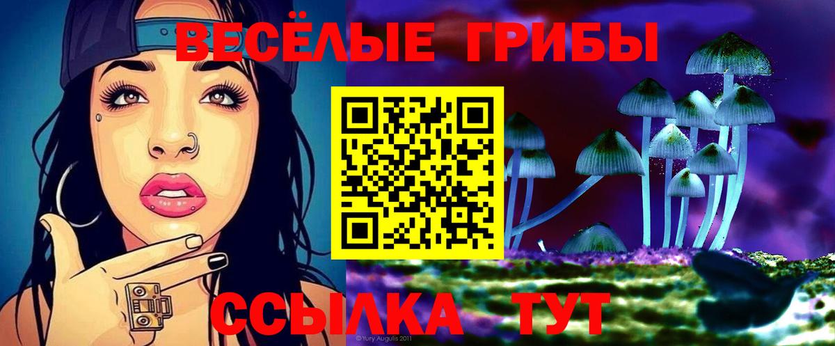 Галлюциногенные грибы GOLDEN TEACHER Новочеркасск