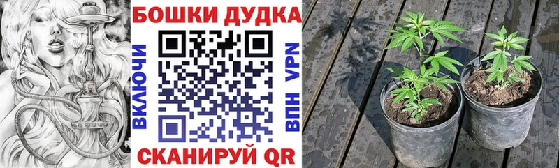 Бошки Шишки тримм  MEGA вход  Новочеркасск 