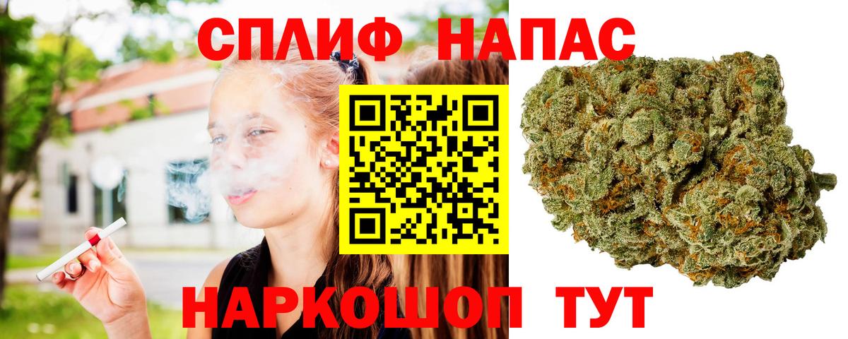 Канабис сатива Новочеркасск